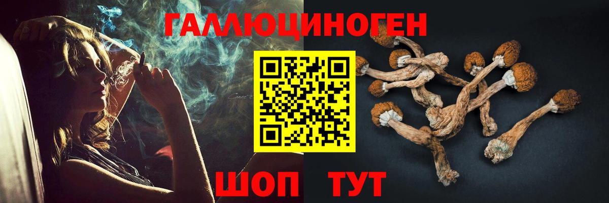 Псилоцибиновые грибы мицелий Клин